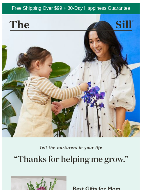thesill newsletter: Hot tip: moms love plants