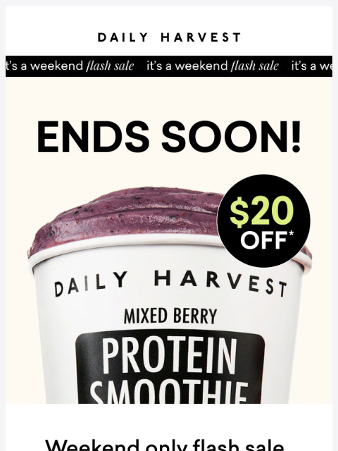 daily-harvest newsletter: High Protein flash sale ENDS SOON