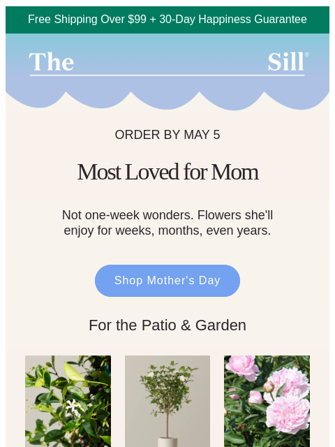 thesill newsletter: A better kind of bouquet 💐