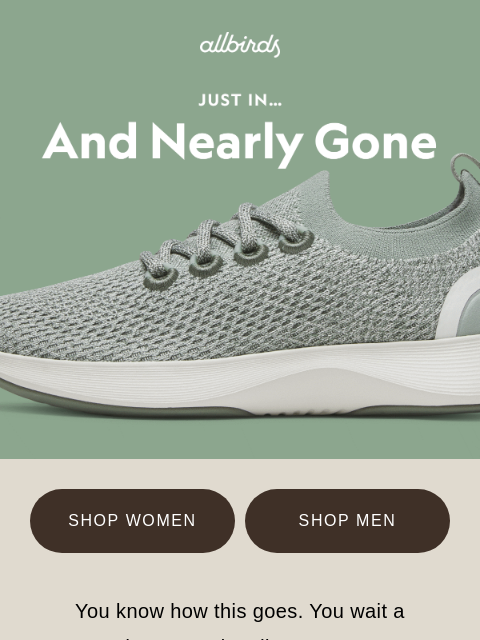 allbirds newsletter: Going, going… 👀