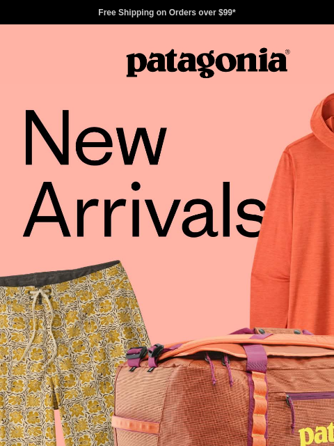 patagonia newsletter: All-new gear just landed