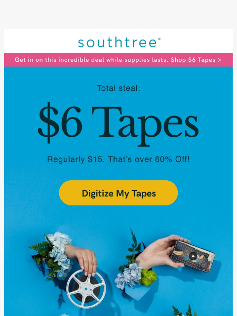 southtree newsletter: Over 60% off… Need we say more?