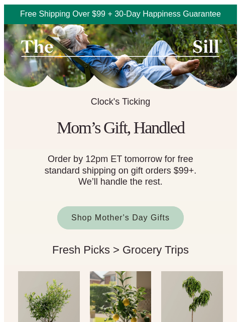 thesill newsletter: Order NOW for Mom! 🫶