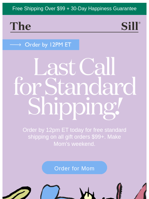 thesill newsletter: Open before 12pm ET today!