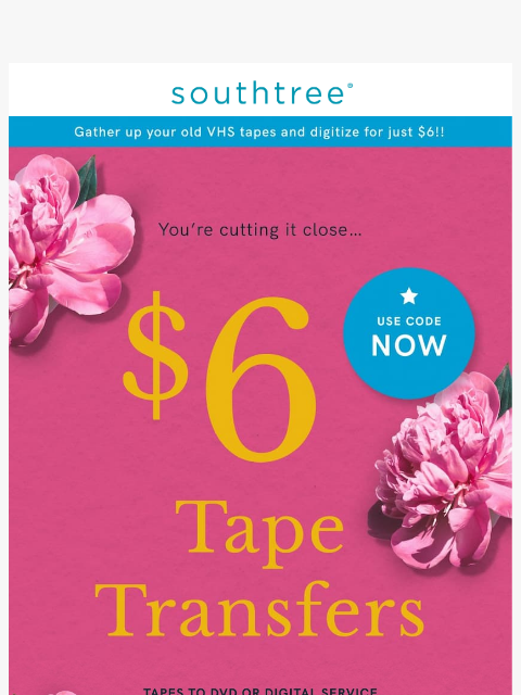 southtree newsletter: You snooze, you (seriously) lose. $6 Tape Transfer...