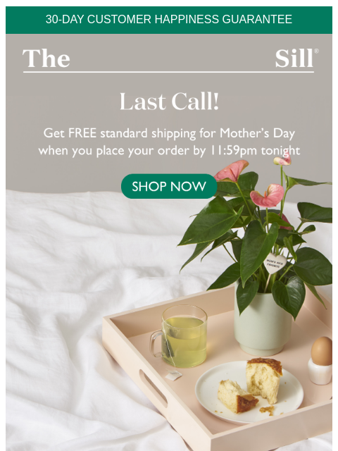 Order by 11:59pm for free delivery by Mother's Day ͏ ͏ ͏ ͏ ͏ ͏ ͏ ͏ ͏ ͏ ͏ ͏ ͏ ͏ ͏ ͏ ͏ ͏ ͏ ͏ ͏ ͏ ͏ ͏ ͏ ͏ ͏ ͏ ͏ ͏ ͏ ͏ ͏ ͏ ͏ ͏ ͏ ͏ ͏ ͏ ͏ ͏ ͏ ͏ ͏ ͏ ͏ ͏ ͏ ͏ ͏ ͏ ͏ ͏ ͏ ͏ ͏ ͏ ͏ ͏ ͏ ͏ ͏ ͏ ͏ ͏ ͏ ͏ ͏ ͏ ͏ ͏ ͏