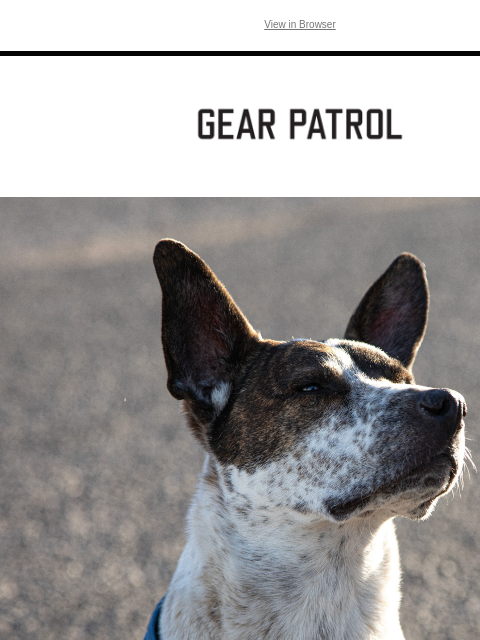 Your furry best friend deserves the best. View in Browser dog with bandana your dog deserves great adventure gear too in partnership with bronco sport We test a lot of outdoor gear at Gear Patrol —