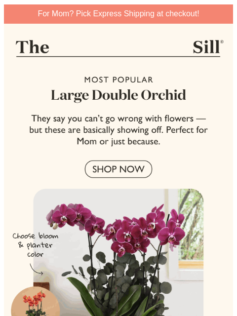 Delivers every time ͏ ͏ ͏ ͏ ͏ ͏ ͏ ͏ ͏ ͏ ͏ ͏ ͏ ͏ ͏ ͏ ͏ ͏ ͏ ͏ ͏ ͏ ͏ ͏ ͏ ͏ ͏ ͏ ͏ ͏ ͏ ͏ ͏ ͏ ͏ ͏ ͏ ͏ ͏ ͏ ͏ ͏ ͏ ͏ ͏ ͏ ͏ ͏ ͏ ͏ ͏ ͏ ͏ ͏ ͏ ͏ ͏ ͏ ͏ ͏ ͏ ͏ ͏ ͏ ͏ ͏ ͏ ͏ ͏ ͏ ͏ ͏ ͏ ͏ ͏ ͏ ͏ ͏ ͏ ͏ ͏ ͏ ͏ ͏ ͏ ͏ ͏ ͏ ͏ ͏ ͏