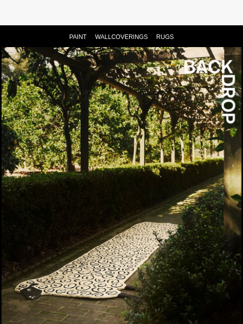 backdrophome newsletter: A PRIZED SHEEP