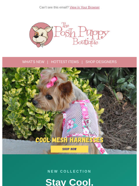 poshpuppyboutique newsletter: ☀️ Summer Walks Just Got Cooler