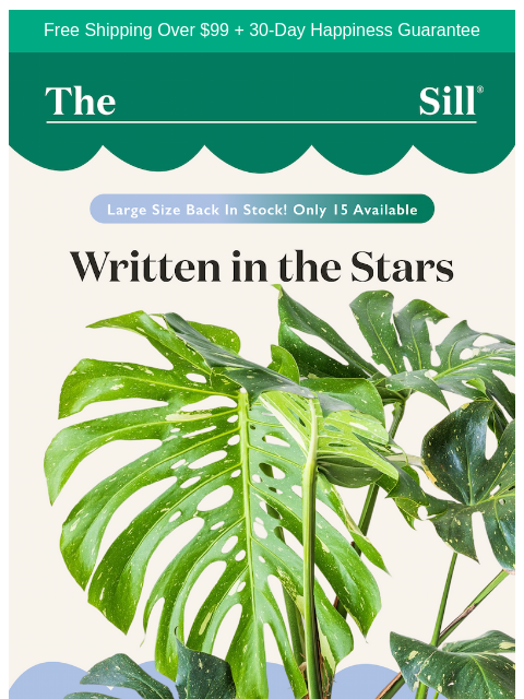 thesill newsletter: She's back! Hint: ✨🔭