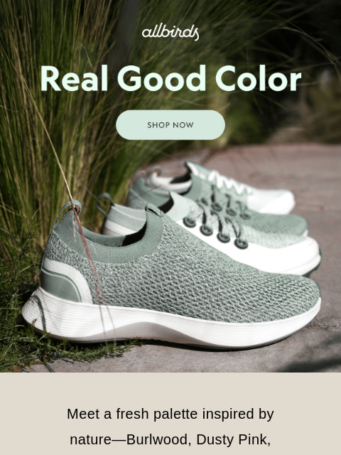 allbirds newsletter: New colors. No notes. 🎨