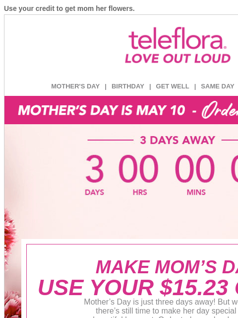 teleflora newsletter: LAST CALL! Your [$15.23] Credit is Expiring