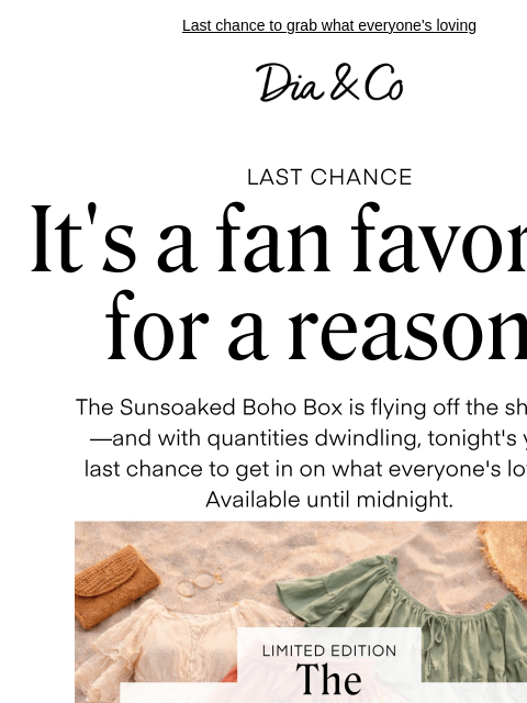 dia newsletter: Our bestseller is almost gone