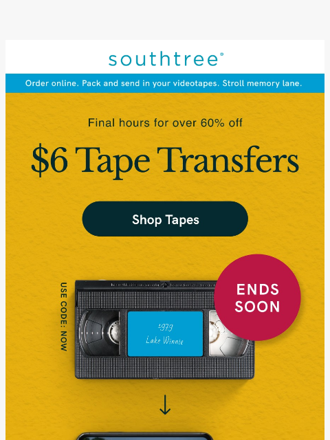 southtree newsletter: It just got better