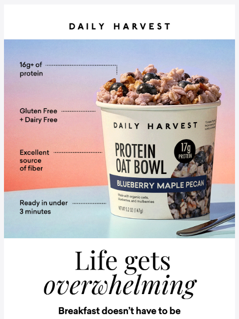 daily-harvest newsletter: High Protein Oat Bowls, your way