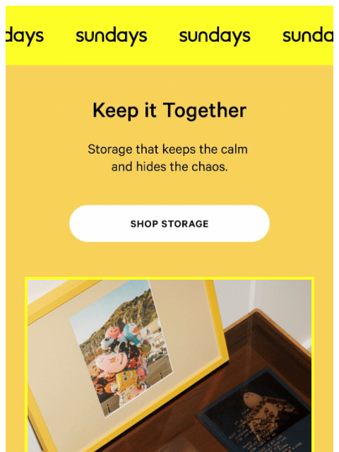sundays-company newsletter: Pretty Good at Hiding Things