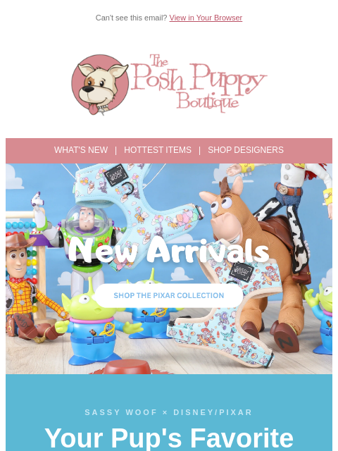 poshpuppyboutique newsletter: 🎬 To Infinity & Beyond the Dog Park — New Pixar C...