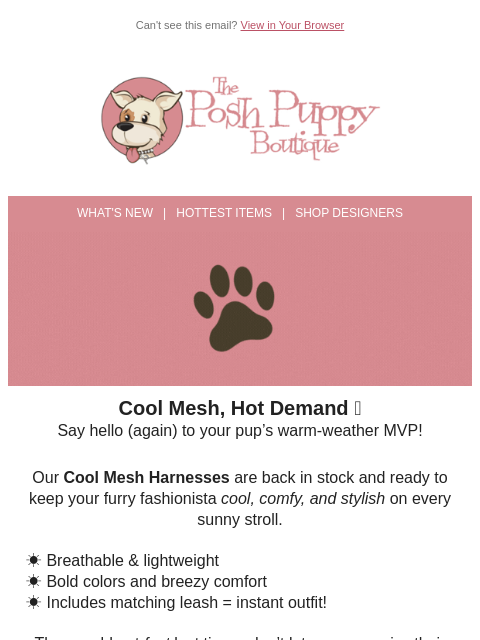 poshpuppyboutique newsletter: Cool, Comfy & Back in Stock! ☀️🐾