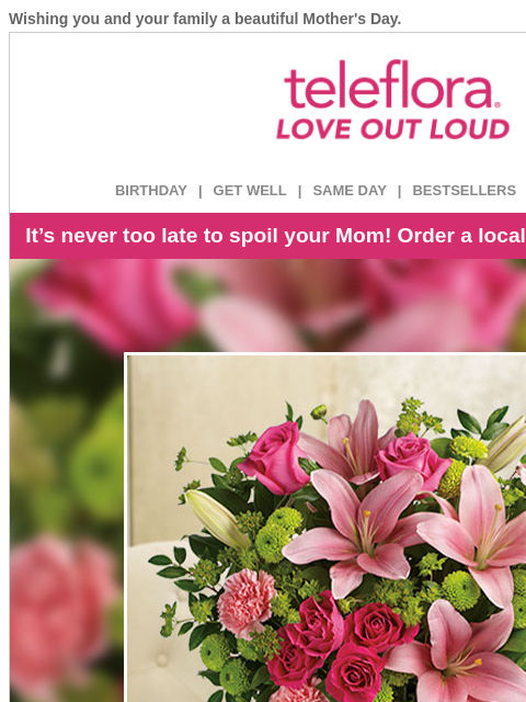 Wishing you and your family a beautiful Mother's Day. View in browser ‌ teleflora BIRTHDAY | GET WELL | SAME DAY | BESTSELLERS | DEAL OF THE DAY It's never too late to spoil your Mom! Order a