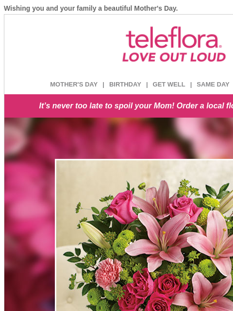 Wishing you and your family a beautiful Mother's Day. View in browser ‌ teleflora MOTHER'S DAY | BIRTHDAY | GET WELL | SAME DAY | DEAL OF THE DAY It's never too late to spoil your Mom!