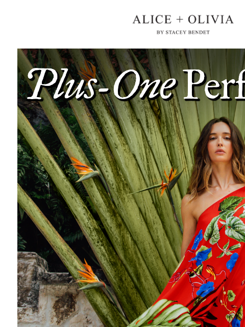 aliceandolivia newsletter: NEW: The Occasion Edit