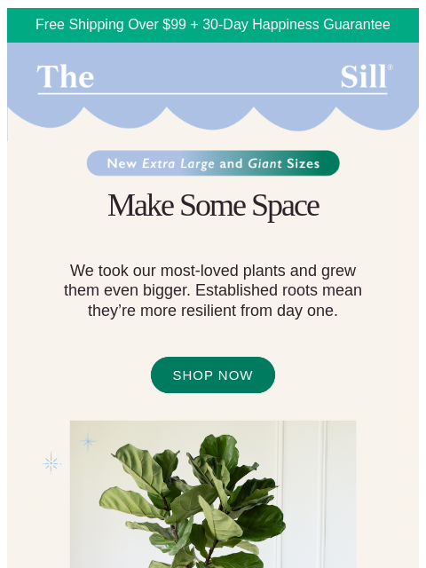 thesill newsletter: Your favorite plants, supersized!