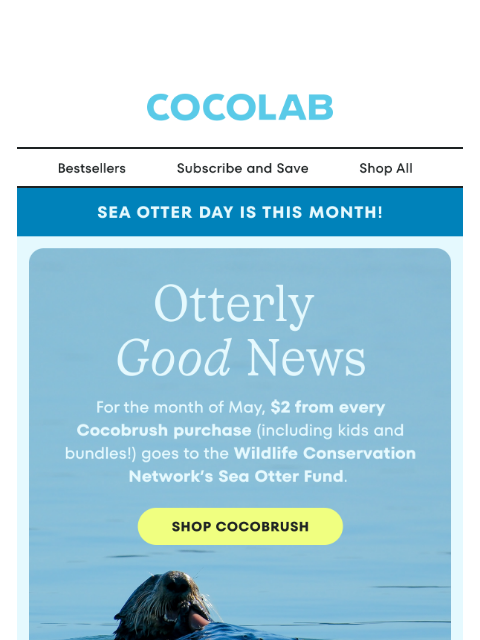 cocolab newsletter: Brush Teeth. Save Otters. 🦦