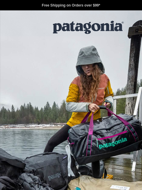 patagonia newsletter: Travel bags with backpack straps