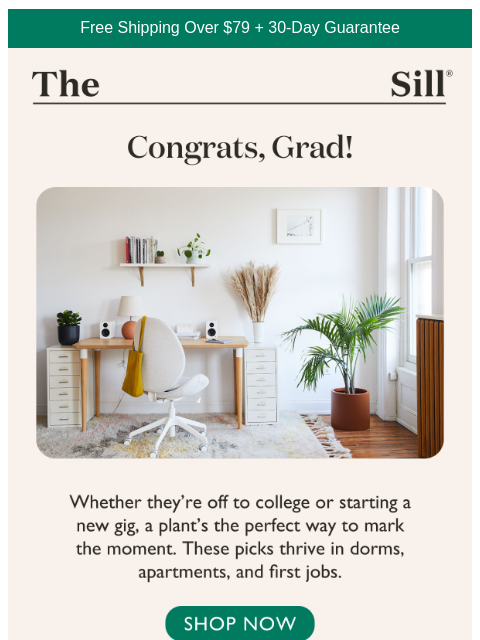 No grad? These chill plants work for anyone ͏ ͏ ͏ ͏ ͏ ͏ ͏ ͏ ͏ ͏ ͏ ͏ ͏ ͏ ͏ ͏ ͏ ͏ ͏ ͏ ͏ ͏ ͏ ͏ ͏ ͏ ͏ ͏ ͏ ͏ ͏ ͏ ͏ ͏ ͏ ͏ ͏ ͏ ͏ ͏ ͏ ͏ ͏ ͏ ͏ ͏ ͏ ͏ ͏ ͏ ͏ ͏ ͏ ͏ ͏ ͏ ͏ ͏ ͏ ͏ ͏ ͏ ͏ ͏ ͏ ͏ ͏ ͏ ͏ ͏ ͏ ͏ ͏ ͏ ͏ ͏ ͏ ͏ ͏