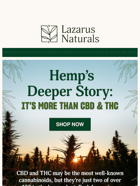 A whole world of hemp compounds to explore starts here. ͏ ͏ ͏ ͏ ͏ ͏ ͏ ͏ ͏ ͏ ͏ ͏ ͏ ͏ ͏ ͏ ͏ ͏ ͏ ͏ ͏ ͏ ͏ ͏ ͏ ͏ ͏ ͏ ͏ ͏ ͏ ͏ ͏ ͏ ͏ ͏ ͏ ͏ ͏ ͏ ͏ ͏ ͏ ͏ ͏ ͏ ͏ ͏ ͏ ͏ ͏ ͏ ͏ ͏ ͏ ͏ ͏ ͏ ͏ ͏ ͏ ͏ ͏ ͏ ͏ ͏ ͏ ͏ ͏ ͏ ͏ ͏ ͏