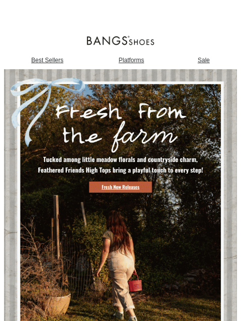 bangsshoes newsletter: Feathered Friends has arrived 🐓🌼