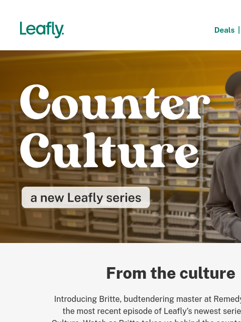 leafly newsletter: Personal recs from an expert budtender 🎥
