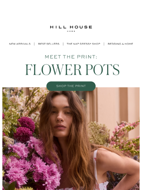 hillhousehome newsletter: Introducing: The Flower Pots Print