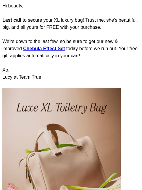 Hi beauty, Last call to secure your XL luxury bag! Trust me, she's beautiful, big, and all yours for FREE with your purchase. We're down to the last few, so be sure to get our new &