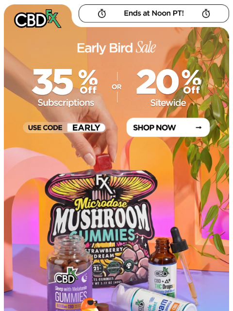 cbdfx newsletter: Early birds get 20% OFF everything 🐥