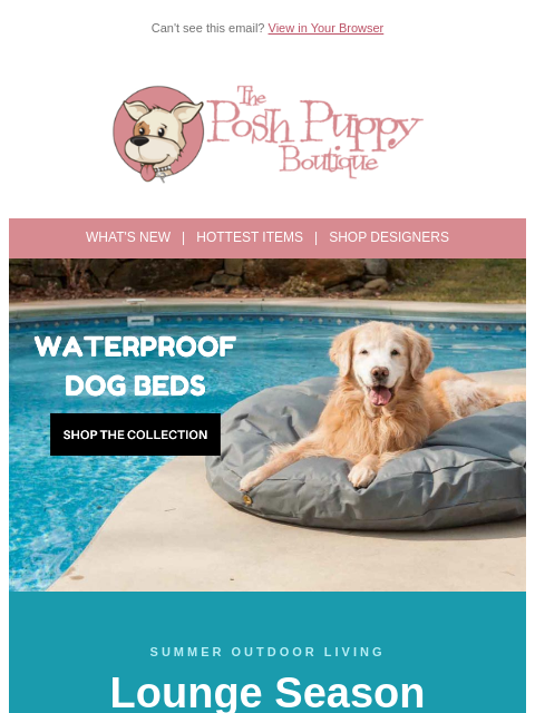 poshpuppyboutique newsletter: ☀️ Your Pup Needs a Poolside Bed This Summer