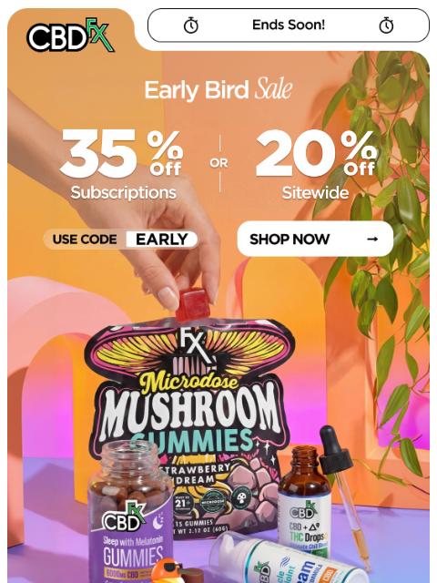 cbdfx newsletter: Last call: 20% OFF everything