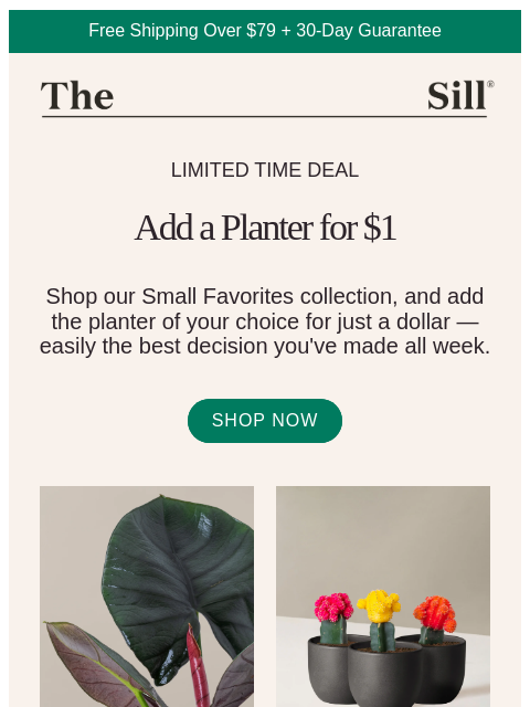Shop Small Favorites and add the planter of your choice for just a buck. ͏ ͏ ͏ ͏ ͏ ͏ ͏ ͏ ͏ ͏ ͏ ͏ ͏ ͏ ͏ ͏ ͏ ͏ ͏ ͏ ͏ ͏ ͏ ͏ ͏ ͏ ͏ ͏ ͏ ͏ ͏ ͏ ͏ ͏ ͏ ͏ ͏ ͏ ͏ ͏ ͏ ͏ ͏ ͏ ͏ ͏ ͏ ͏ ͏ ͏ ͏ ͏ ͏ ͏ ͏ ͏ ͏ ͏ ͏ ͏ ͏ ͏ ͏ ͏