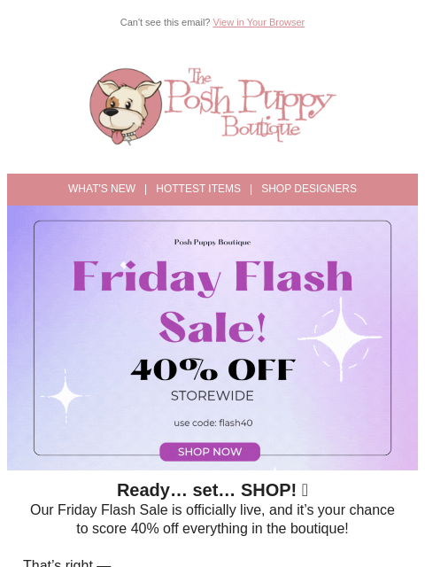 poshpuppyboutique newsletter: ⚡️ Friday Flash Sale! 40% Off Everything — Today O...