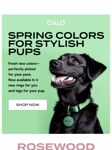 4 new Matching Rings & Dog ID Tags colors! ͏ ͏ ͏ ͏ ͏ ͏ ͏ ͏ ͏ ͏ ͏ ͏ ͏ ͏ ͏ ͏ ͏ ͏ ͏ ͏ ͏ ͏ ͏ ͏ ͏ ͏ ͏ ͏ ͏ ͏ ͏ ͏ ͏ ͏ ͏ ͏ ͏ ͏ ͏ ͏ ͏ ͏ ͏ ͏ ͏ ͏ ͏ ͏ ͏ ͏ ͏ ͏ ͏ ͏ ͏ ͏ ͏ ͏ ͏ ͏ ͏ ͏ ͏ ͏ ͏ ͏ ͏ ͏ ͏ ͏ ͏ ͏ ͏ ͏ ͏ ͏ ͏
