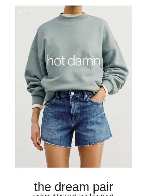 ayr newsletter: the only denim short