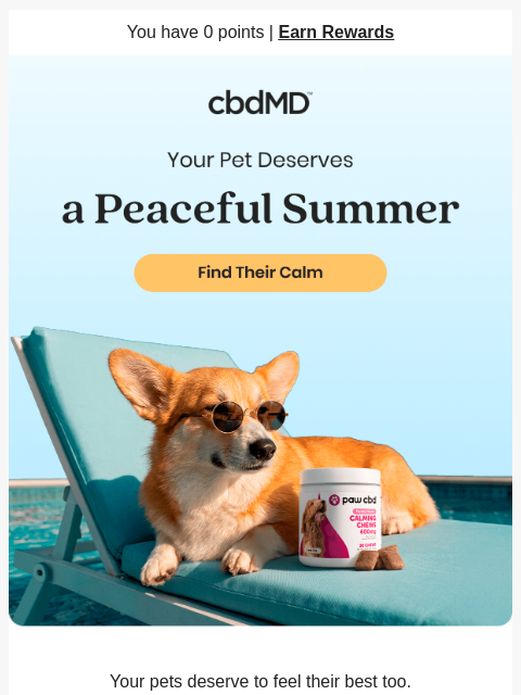 cbdmd newsletter: Help Our Furry Friends Stay Calm This Summer