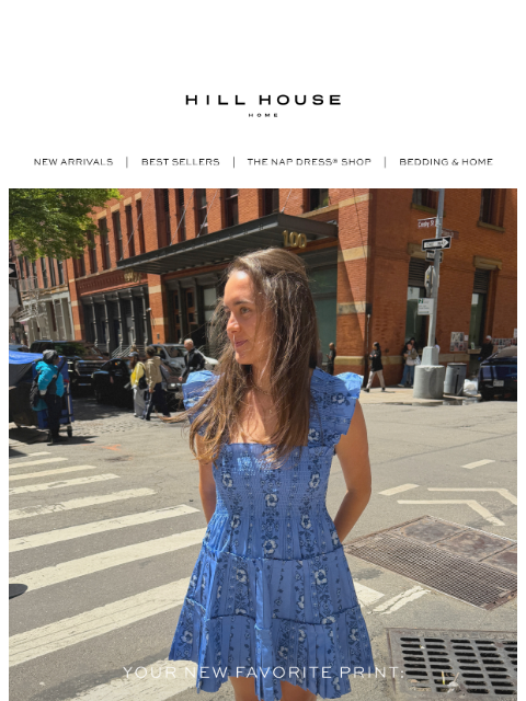 hillhousehome newsletter: Meet Blue Arcadia Border 💙