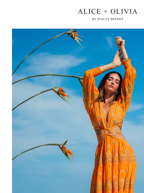 aliceandolivia newsletter: New In: Citrus Crush 🍊