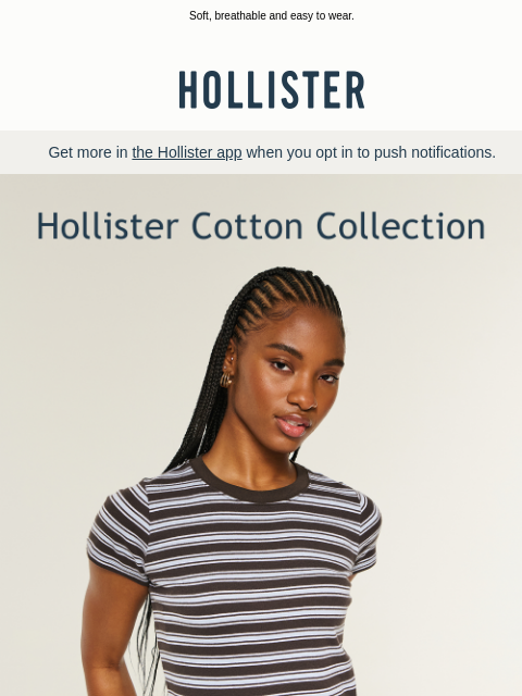 hollisterco newsletter: The Hollister Cotton Collection.