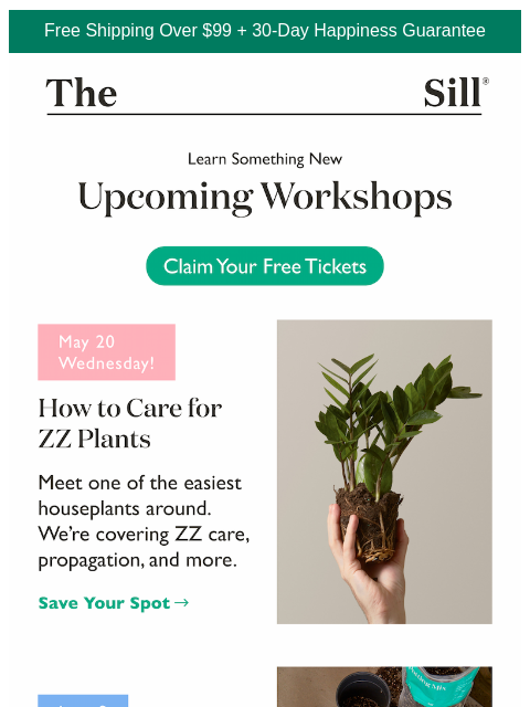 thesill newsletter: Upcoming Workshops (Free!)