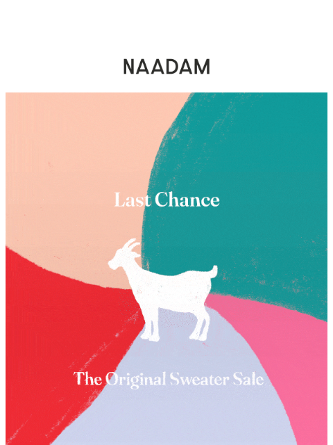 The Sweater That Broke the Internet — Last Chance to Save ͏ ͏ ͏ ͏ ͏ ͏ ͏ ͏ ͏ ͏ ͏ ͏ ͏ ͏ ͏ ͏ ͏ ͏ ͏ ͏ ͏ ͏ ͏ ͏ ͏ ͏ ͏ ͏ ͏ ͏ ͏ ͏ ͏ ͏ ͏ ͏ ͏ ͏ ͏ ͏ ͏ ͏ ͏ ͏ ͏ ͏ ͏ ͏ ͏ ͏ ͏ ͏ ͏ ͏ ͏ ͏ ͏ ͏ ͏ ͏ ͏ ͏ ͏ ͏ ͏ ͏ ͏ ͏ ͏ ͏ ͏ ͏