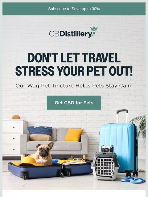 thecbdistillery newsletter: Traveling with (or without) your pet this summer?
