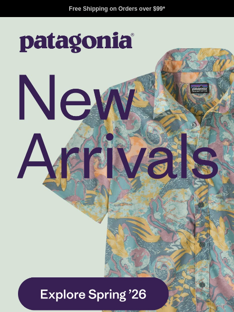patagonia newsletter: Our new cosmic print
